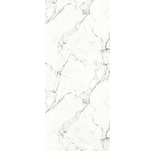 Duschrückwand BREUER Soft-Touch Dekor Marmor schwarz-weiß 100 x 255 cm