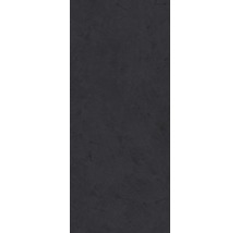 Duschrückwand BREUER Dekor Stein anthrazit 100 x 210 cm