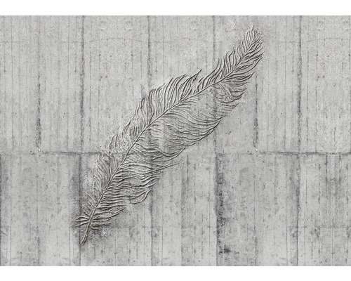 Papier peint panoramique intissé X7-1023 Concrete Feather 7 pces 350 x 250 cm