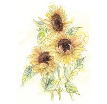 Papier peint panoramique intissé X4-1008 Girasol 4 pces 200 x 250 cm