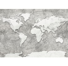 Weltkarte auf grauem Hintergrund
