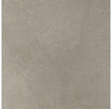 Dalle de terrasse en grès cérame fin FLAIR STONE Concrete gris bord  rectifié 75 x 75 x 2 cm - HORNBACH Luxembourg