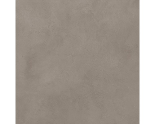 Feinsteinzeug Wand- und Bodenfliese Cementine 60 x 60 x 0,9 cm Mink Lappato