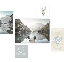 Ensemble de tableaux muraux avec des imprimés de paysages, d''animaux et de motifs pour la décoration murale
