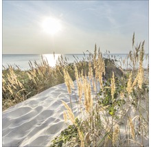 Dünenlandschaft mit Strandhafer und Blick auf das Meer