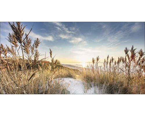 Metallbild Wilder Strand III 200x100 cm Strandhafer in Küstennähe bei Sonnenaufgang