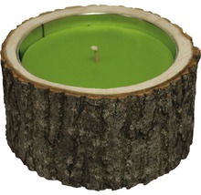 Big Wood Holder H 10 cm Ø 21 cm vert-thumb-0