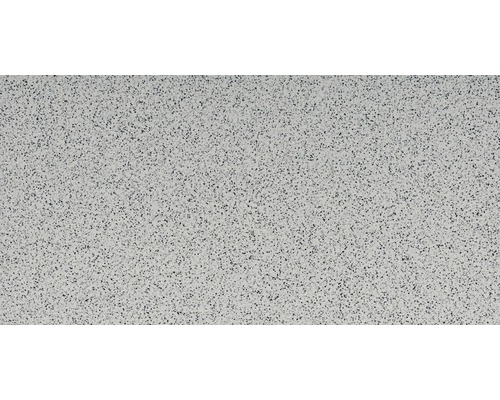 Carrelage sol et mur en grès cérame fin 30 x 60 cm grain fin imprégné gris clair R10B