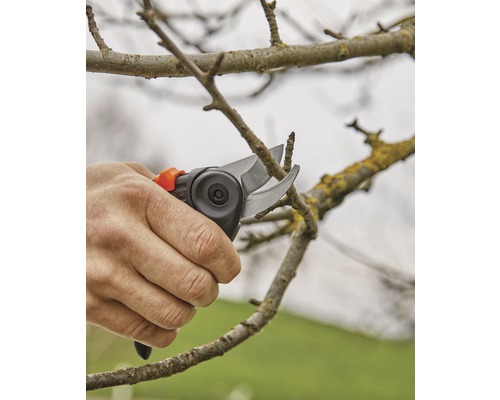 Eine Person schneidet mit einer Gartenschere einen Ast.