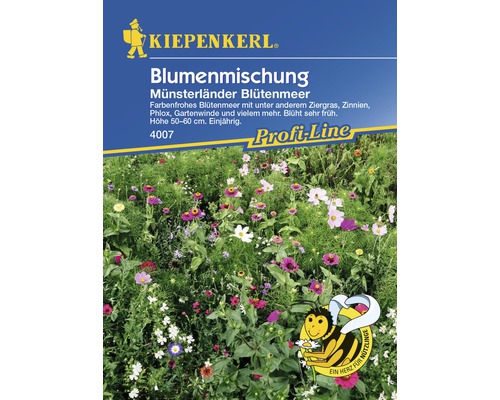 Mélange de fleurs «Münsterländer Blütenmeer» semences de fleurs Kiepenkerl