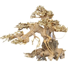 Aquariumdekoration Aqua Bonsai L 30-40 cm