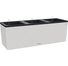 Blumenkasten Lechuza Canto Premium 40 x 40 x 75,8 cm silber inkl. Erdbewässerungssystem und Wasserstandsanzeiger