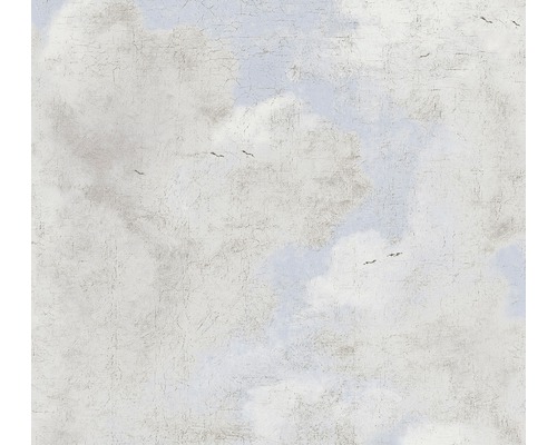 Papier peint intissé 37649-3 History of Art graphique gris Papier peint avec motif de nuages