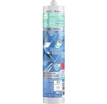 Mastic Sista Salle de bains & cuisine cartouche blanc