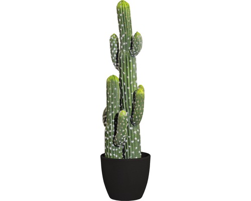 Kunstblume Kaktus Mexiko