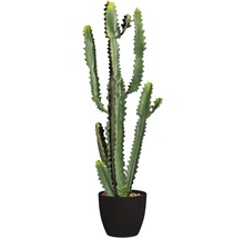 Cactus artificiel dans un pot