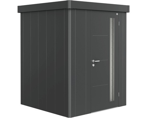 Remise à outils biohort Neo 1A porte standard 166 x 166 cm gris foncé métallique