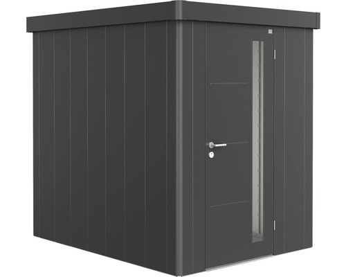 Remise à outils biohort Neo 2A porte standard 180 x 236 cm gris foncé métallique