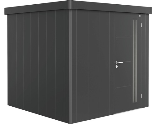 Remise à outils biohort Neo 2B porte standard 236 x 236 cm gris foncé métallique