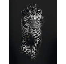 Impression d'art Leopard Dark 18x24 cm-thumb-0