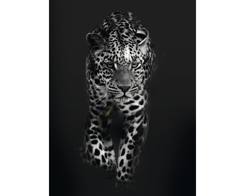 Kunstdruck Leopard Dark 18x24 cm