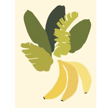 Kunstdruck Botanical Bananas 18x24 cm-thumb-0