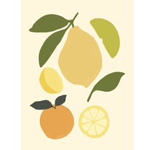 Illustration von Zitrusfrüchten und Blättern