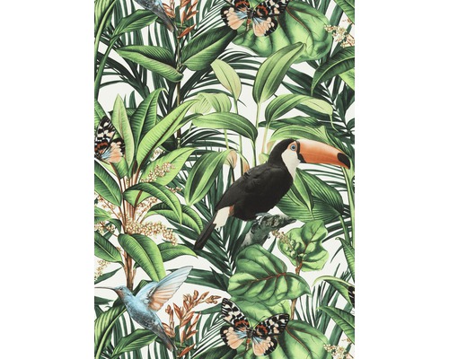 Papier peint intissé 10121-07 Paradisio 2 floral vert Papier peint à motif tropical, comprenant des toucans, des colibris, des papillons et des feuilles