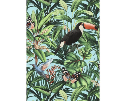 Papier peint intissé 10121-18 Paradisio 2 floral turquoise Papier peint avec motif de jungle, y compris toucan, colibri et papillons.