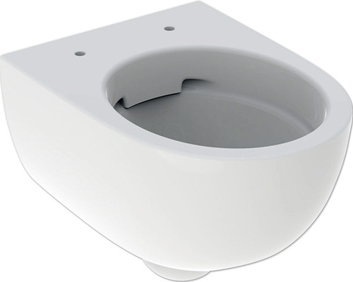 WC suspendu GEBERIT Renova Compact cuvette à fond creux sans bride de rinçage court blanc KeraTect® laque spéciale sans abattant WC 500,377