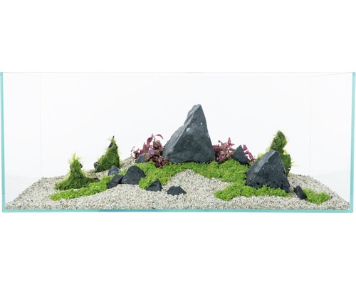 Aquarium décoratif avec pierres, gravier et plantes