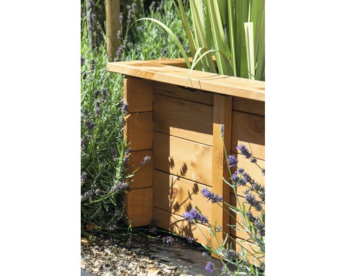 Jardinière surélevée en bois avec plantes
