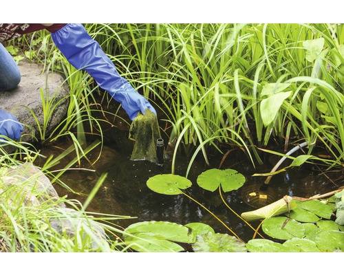 Une personne nettoie un bassin de jardin avec des gants de bassin et un chiffon.