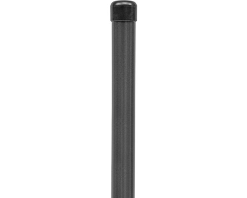 Piquet de clôture 34 x 169 cm, anthracite