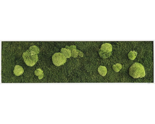Tableau mousse Forêt & mousse ronde 140x40 cm Tableau mousse Forêt & mousse ronde 140x40 cm