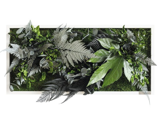 Tableau végétal Design jungle cadre blanc 57x27 cm