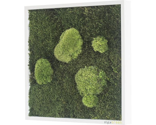 Tableau de mousse avec cadre pour décoration murale