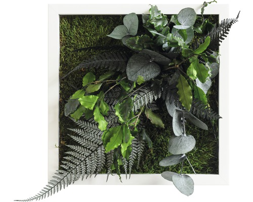Tableau végétal Design jungle cadre blanc 22x22 cm