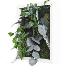 Tableau végétal Design jungle cadre blanc 22x22 cm-thumb-1