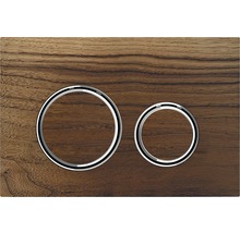 Betätigungsplatte aus Holz mit zwei Spültasten