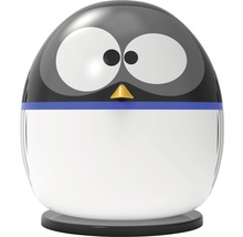 Pompe à chaleur Planet Pool Pinguin 5 kW avec raccordement appli Bluetooth