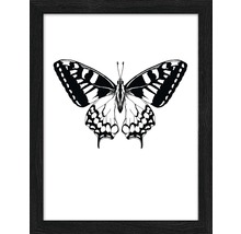 Gerahmtes Bild mit Schmetterlingsmotiv