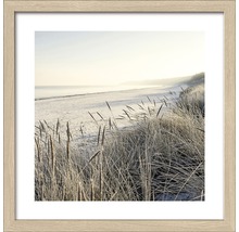 Gerahmtes Bild mit Strand und Gras im Vordergrund