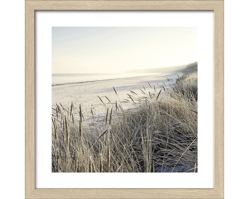 Gerahmtes Bild mit Strand und Gras im Vordergrund