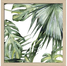 Gerahmtes Bild Jungle 28x28 cm