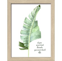 Gerahmtes Bild Green Plant Leaf II 19x24 cm
