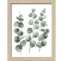 Gerahmtes Bild Eucalyptus Branches I 19x24 cm
