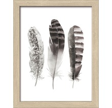 Gerahmtes Bild mit drei Federn