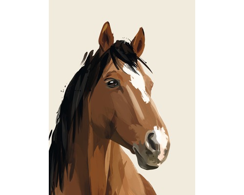 Impression d'art Horse 18x24 cm