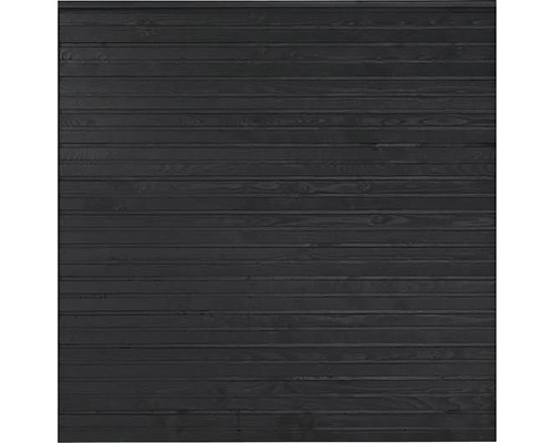 Façade en bois avec planches horizontales